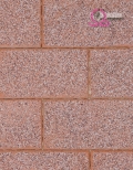 BALDOSA 40x20x6 Y 8 cm GRANITICO SALMON
